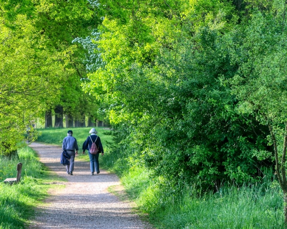 0003-4507443623672409254 3