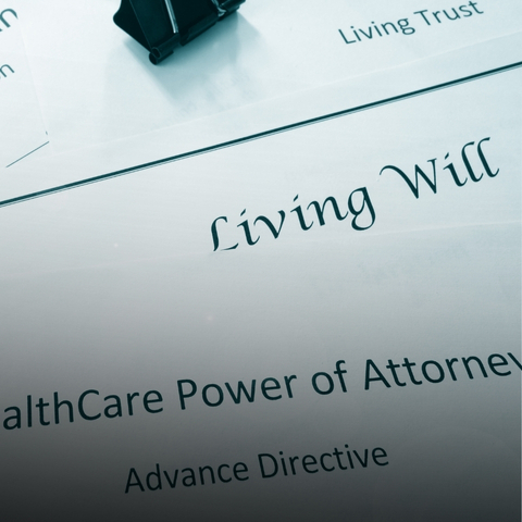 Copy of Article Pictures-Aug-01-2025-05-16-51-8494-PM